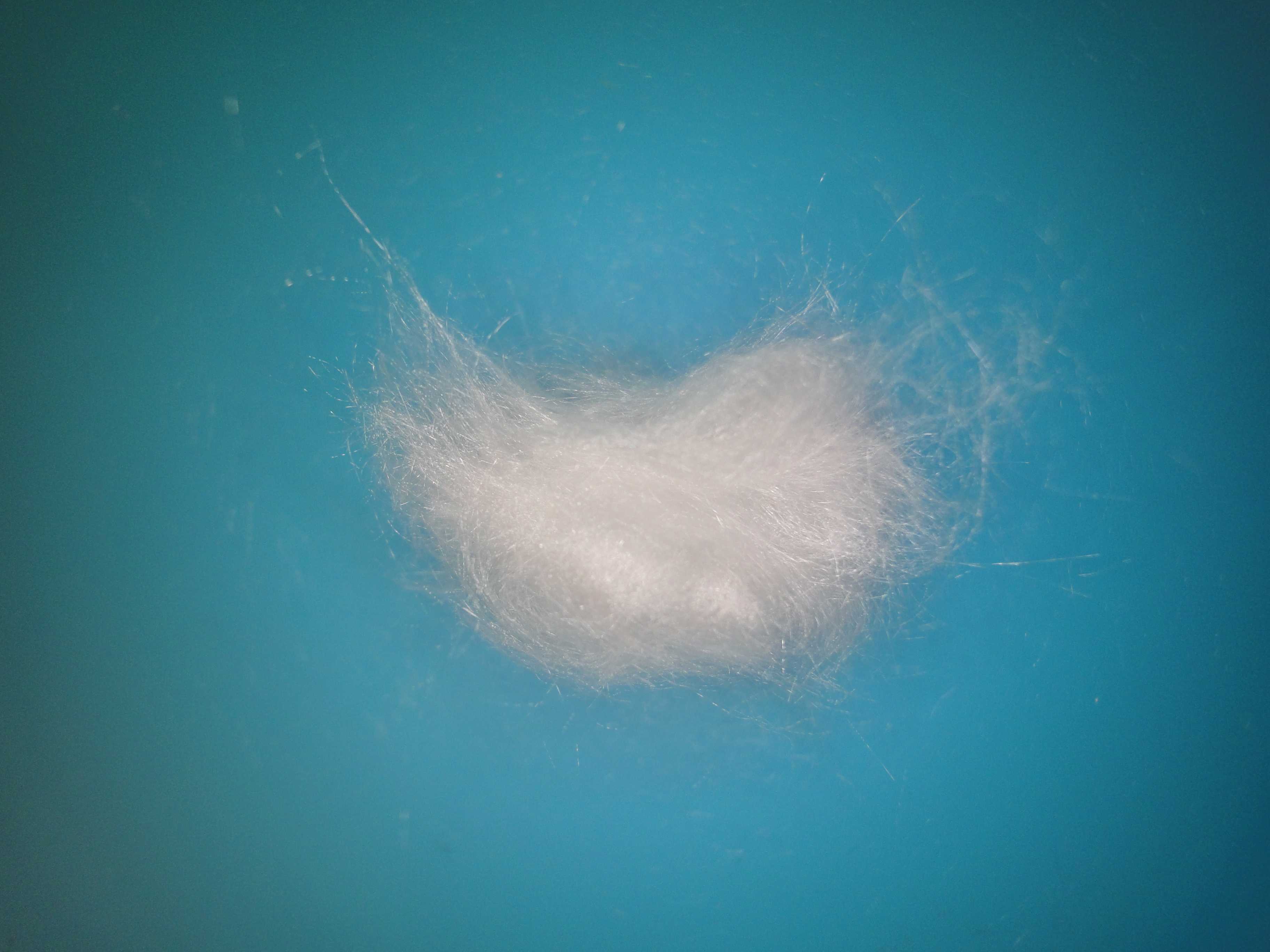 石英棉,33822200,Thermo儀器專用